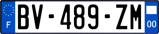 BV-489-ZM