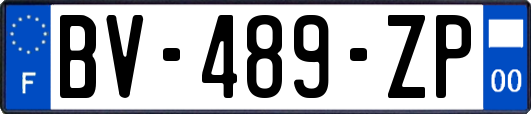 BV-489-ZP