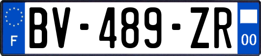 BV-489-ZR