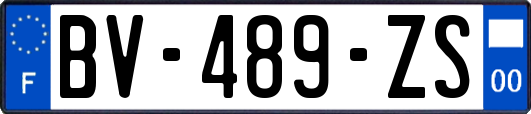 BV-489-ZS