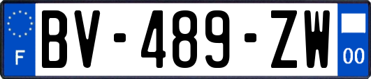 BV-489-ZW