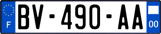 BV-490-AA