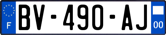 BV-490-AJ