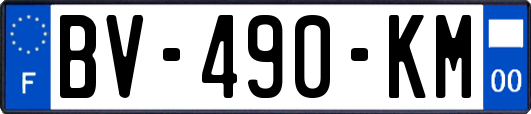 BV-490-KM