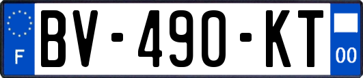 BV-490-KT