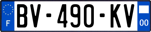 BV-490-KV