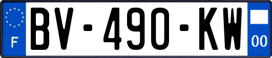 BV-490-KW