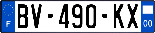 BV-490-KX