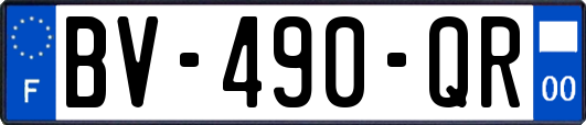 BV-490-QR