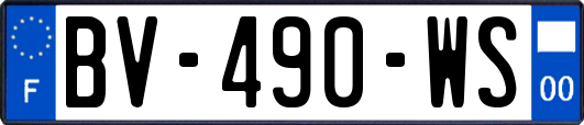 BV-490-WS