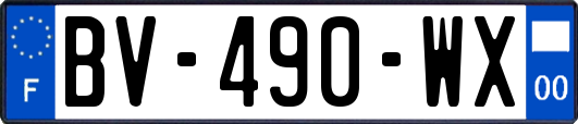 BV-490-WX