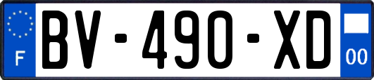 BV-490-XD