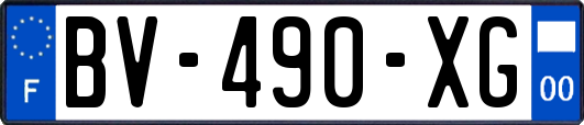 BV-490-XG
