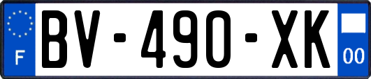 BV-490-XK