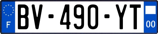 BV-490-YT