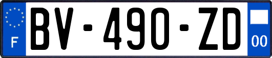 BV-490-ZD