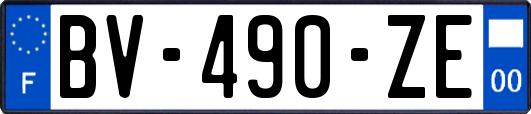 BV-490-ZE