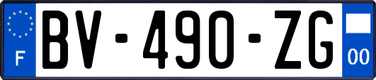 BV-490-ZG