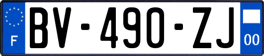 BV-490-ZJ