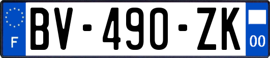 BV-490-ZK