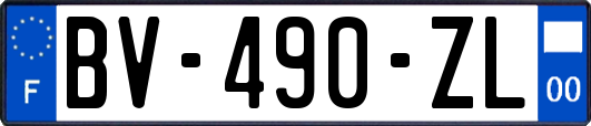 BV-490-ZL