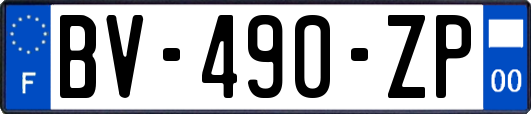 BV-490-ZP