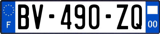 BV-490-ZQ