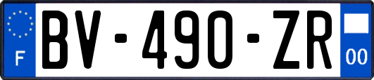 BV-490-ZR