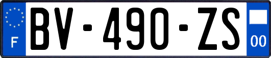 BV-490-ZS