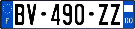 BV-490-ZZ