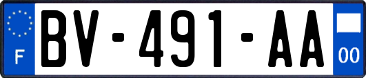 BV-491-AA