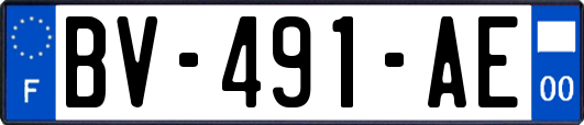 BV-491-AE