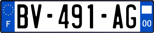 BV-491-AG