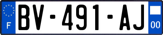 BV-491-AJ