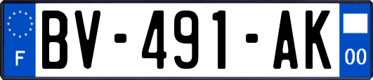 BV-491-AK