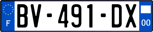 BV-491-DX