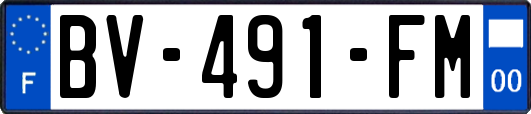 BV-491-FM