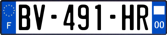 BV-491-HR