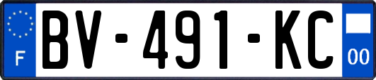 BV-491-KC