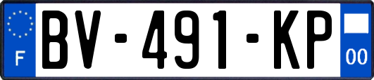 BV-491-KP