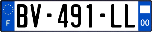 BV-491-LL