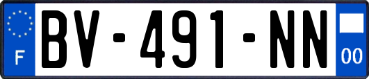 BV-491-NN