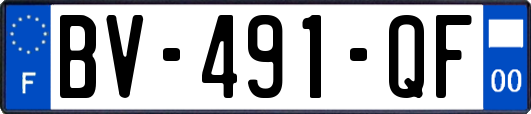BV-491-QF