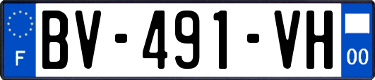 BV-491-VH