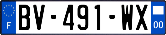 BV-491-WX