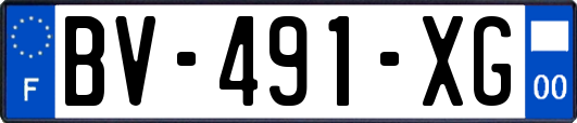 BV-491-XG