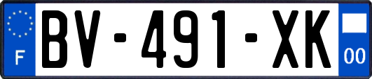 BV-491-XK