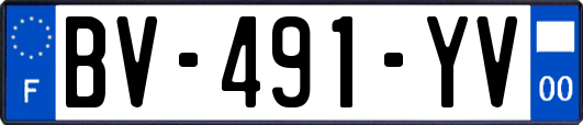 BV-491-YV