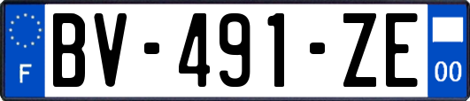 BV-491-ZE