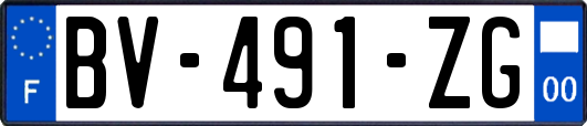 BV-491-ZG